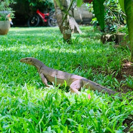 Villa Olga Unawatuna Kültér fotó