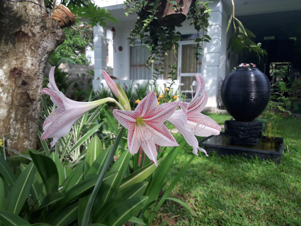 Villa Olga Unawatuna Kültér fotó