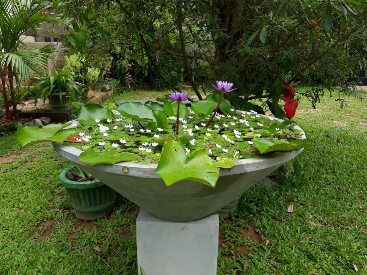 Villa Olga Unawatuna Kültér fotó